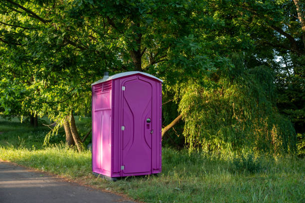 Best Sanitation services for porta potties  in Lost Hills, CA